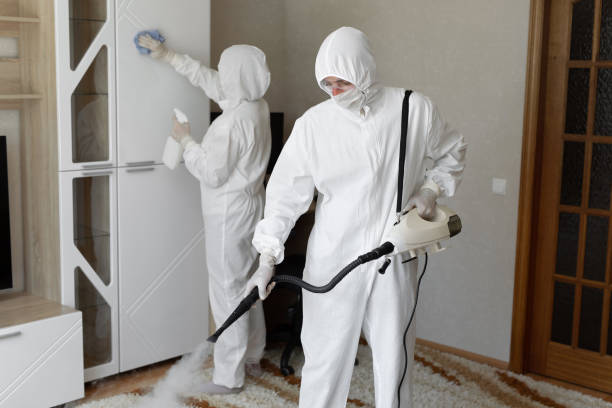 Best Toxic Mold Removal  in Carrington, ND