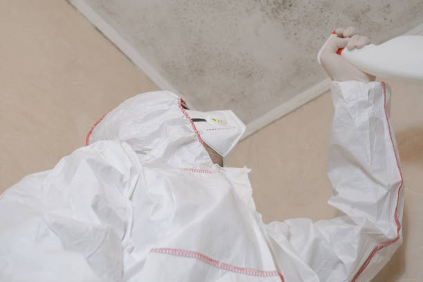 Best Affordable Mold Removal  in Carrington, ND